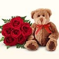 iek gnder 5 adet gl ve pelu oyuncak