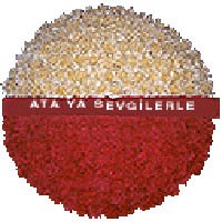 ieki Antkabir iin iek elenk modeli