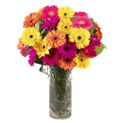 Adana ulusraras iekilik Cam iinde gerbera iekleri adana ieki