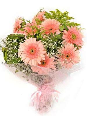 iek gnderin taze kr iekleri gerbera demeti