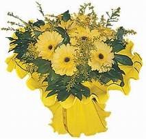 Adana iek taze gerbera kr iekleri demeti