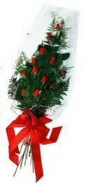 adanaya iek siparii gller ve asalet iei